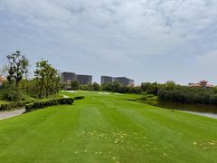 -棕榈滩海景高尔夫俱乐部