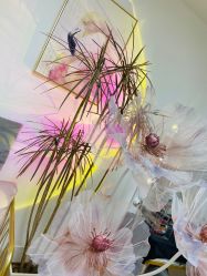 -美肤盾祛痘·问题肌头疗管理中心