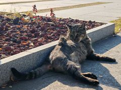 -狼山风景名胜区