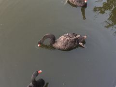 -长白岛森林公园