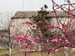 -三里河公园