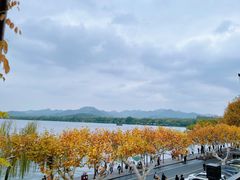 -楼外楼(西湖景区孤山路店)