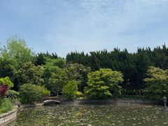 -嘉定紫藤园