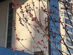 -瑞吉酒店·瑞吉酒吧