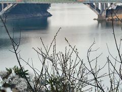 -广州市流溪河国家森林公园