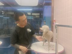 -FAELING PETS美天灵宠物(富力广场店)