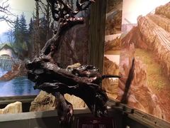 -乐山乌木文化博览苑