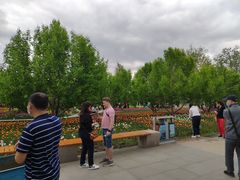 -长春公园(普阳街道)