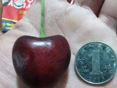 -上海龙吴水胜海发市场