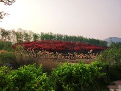 -云幽谷旅游区