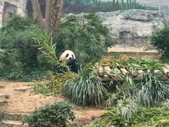 -石排湾郊野公园