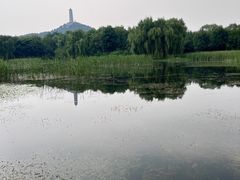 -北坞公园