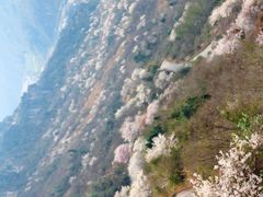 -九皇山景区