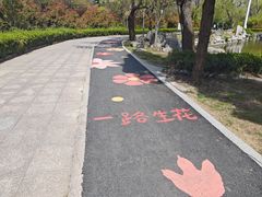 -诸城市恐龙博物馆