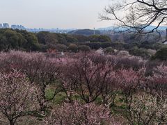 -无锡梅园公园