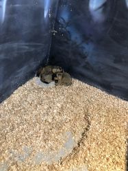 点击看大图 -酷嗒动物文化乐园(cutezoo西溪乐天城店)