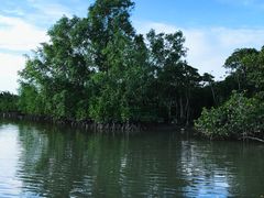 -东寨港红树林旅游区