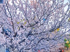 -沂蒙山旅游区龟蒙景区
