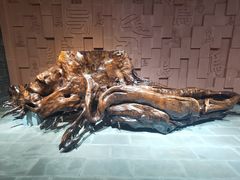 -乐山乌木文化博览苑