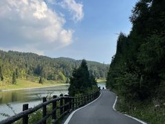-武陵山森林公园