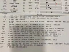 -子乐宠物医院