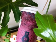 桑果酸奶脆珠珠-森茶(湛江万达店)