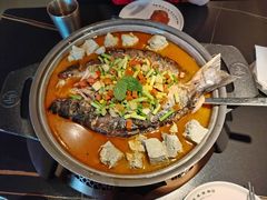 -师烤·豆花烤鱼(广州荔湾扬韬广场店)