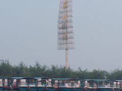 -白洋淀景区