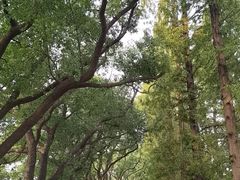 -食膳公园包子铺(烈士公园店)