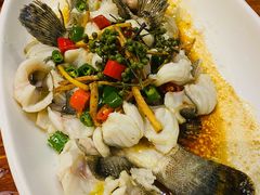 椒麻鱼-顺德了能馆(虎门店)