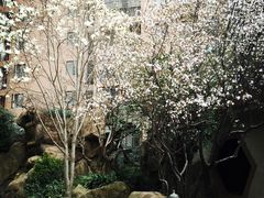 iphone_upload_pic-竹吟山房