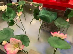 -七里川健康火锅(总店)
