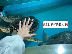 -正佳极地海洋世界