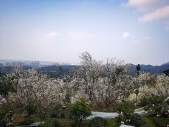 -樱桃山旅游景区