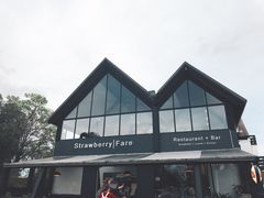 -Strawberry Fare