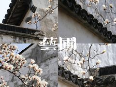 -留园