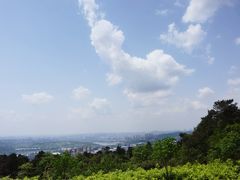 -铁山坪森林公园