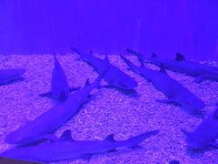 -华夏文旅西安度假区