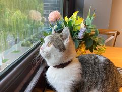 -IFIF 如果花園(宽厚里店)