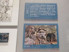 -浙江西湖美术馆