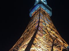 -东京塔海贼王主题公园