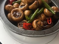 -云中小雅