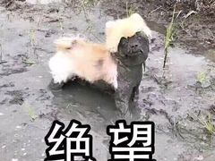 -清心素食自助餐厅(夫子庙店)