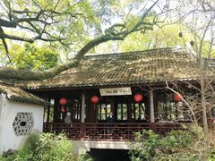 -上海醉白池公园