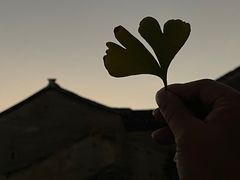 -林寨古村