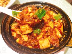 -陈麻婆豆腐总店