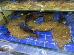 -常家活海鲜小吃(仅一家无分店)