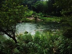 -楠溪江石桅岩