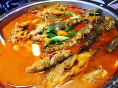 -鱼乐火锅(清江国际店)