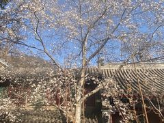-潭柘寺景区